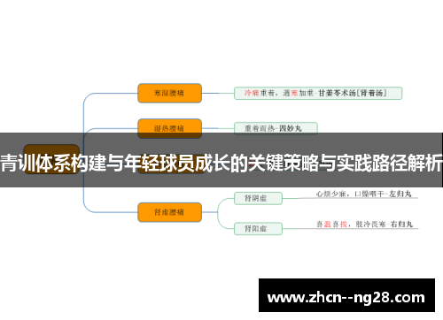 青训体系构建与年轻球员成长的关键策略与实践路径解析 青训体系构建与年轻球员成长的关键策略与实践路径解析