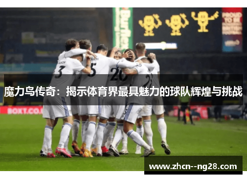 魔力鸟传奇：揭示体育界最具魅力的球队辉煌与挑战
